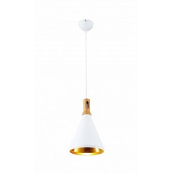 Jupiter Sarkıt Armatür EV620 Jupiter Sarkıt Armatür EV620