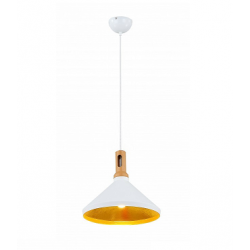 Jupiter Sarkıt Armatür EV622 Jupiter Sarkıt Armatür EV622