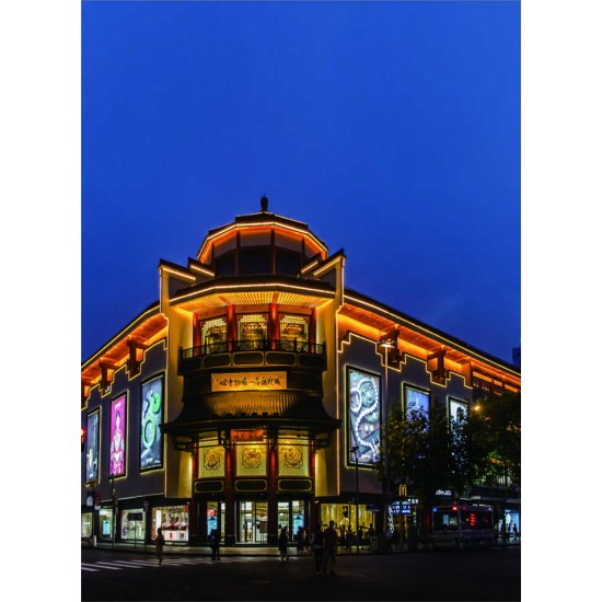 LE220 A 220 V İç/Dış Mekan Neon Şerit LED (AMBER)