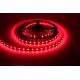 Cata 3 Çipli Şerit Led İç Mekan KIRMIZI - CT-4482 ( 5 Metre ) Cata 3 Çipli Şerit Led İç Mekan KIRMIZI - CT-4482 ( 5 Metre )