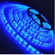 Cata 3 Çipli Şerit Led Dış Mekan MAVİ - CT-4491 Cata 3 Çipli Şerit Led Dış Mekan MAVİ - CT-4491