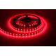 Cata 3 Çipli Şerit Led Dış Mekan KIRMIZI - CT-4489 Cata 3 Çipli Şerit Led Dış Mekan KIRMIZI - CT-4489