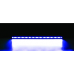 Cata 36W Gold Wall Washer CT-4697 Cata 36W Gold Wall Washer CT-4697